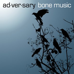 Image pour 'Bone Music'