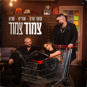 “צמוד צמוד”的封面