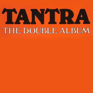 “The Double Album”的封面