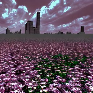 Immagine per 'flowerfield'