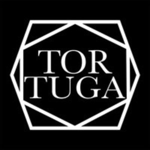 Image for 'Tortuga, Vol. 1'