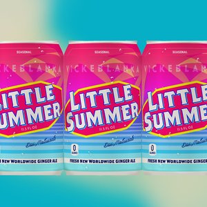 “Little Summer”的封面