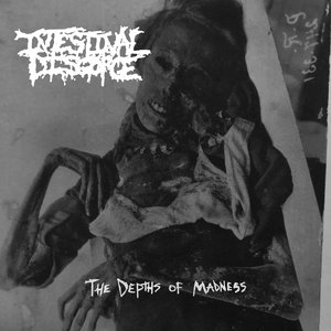 Image for 'The Depths of Madness'