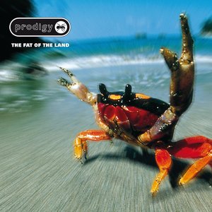 Image pour 'The Fat of the Land'