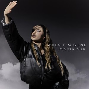 “When I'm Gone”的封面