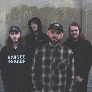 “Disavow”的封面