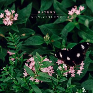 “Non-Violent”的封面