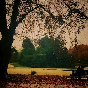 Image for 'bathed in grey'