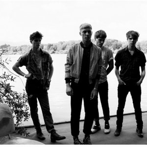 Image for 'The Drums'