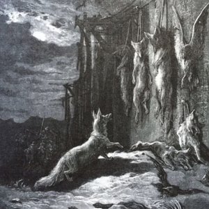 Image for 'lÿfe'