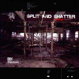 Image for 'Split and Shatter'