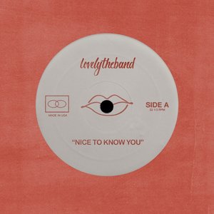 “nice to know you”的封面