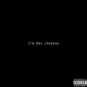 Image for 'I'm Not Jealous'
