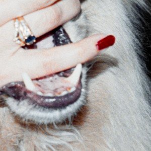 Immagine per 'Arctic'