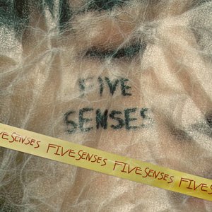 Image for 'FIVE SENSES'