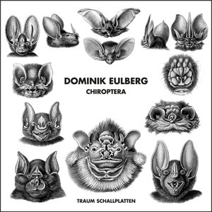 Image for 'Chiroptera'