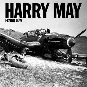 Изображение для 'Flying Low'