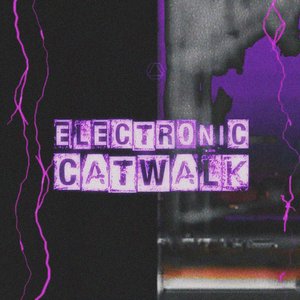 Image for 'Electronic Catwalk'