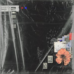 Imagem de 'Cutflowers'