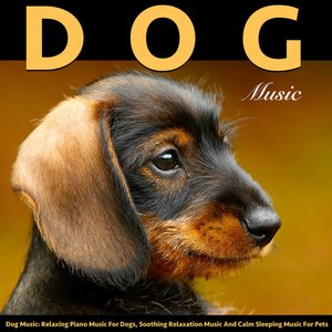 Image for 'Music for Dogs: Relaxing Piano Dog Music and Soothing Sleeping Music for Pets'