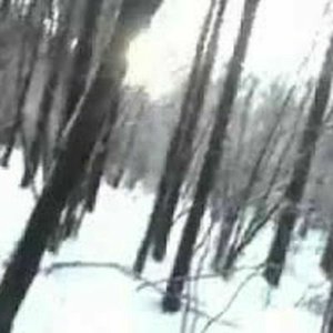 “occult.14”的封面