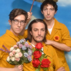 Immagine per 'The Honeysticks'