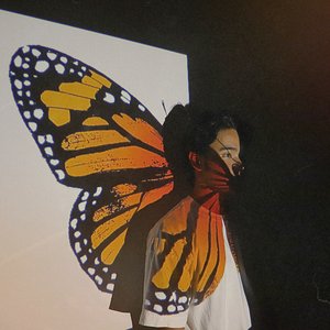 Imagen de 'Butterfly Effect'