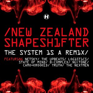 Image for 'The System Is a Remix'