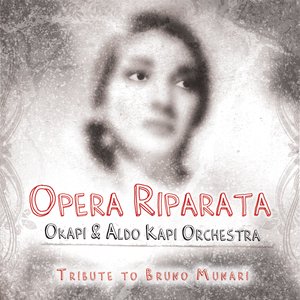 'Opera Riparata: Tribute To Bruno Munari' için resim