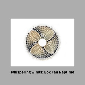 Immagine per 'Whispering Winds: Box Fan Naptime'