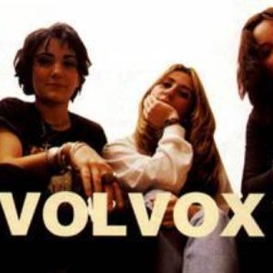 Image for 'Volvox'