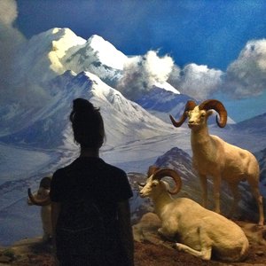 Image for 'Barbara Ellison'