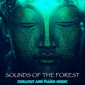 Bild för 'Buddha Bar - Piano Music and Sounds of the Forest'