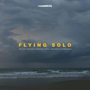 Image for 'Flying Solo'