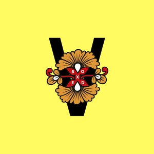 Image for 'Boxed V'