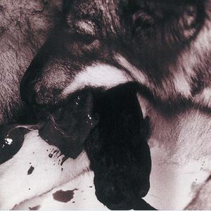 Image for 'My Song'