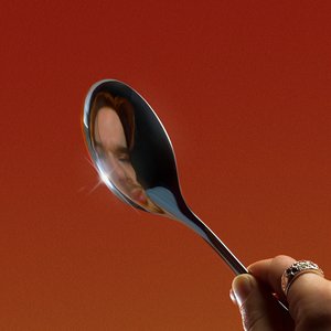 Image for 'The Spoon'