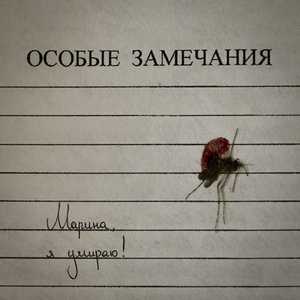 Image for 'Особые замечания'