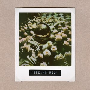 'Seeing Red - Single'の画像