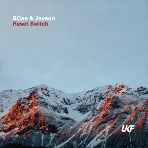 'Reset Switch'の画像