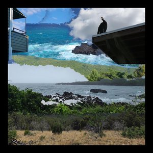 “In Environment”的封面