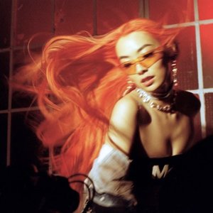 “Rina Sawayama”的封面