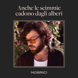 'ANCHE LE SCIMMIE CADONO DAGLI ALBERI'の画像