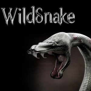 Image for 'Wildsnake'