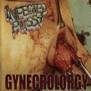 Image for 'Gynecrolorgy'