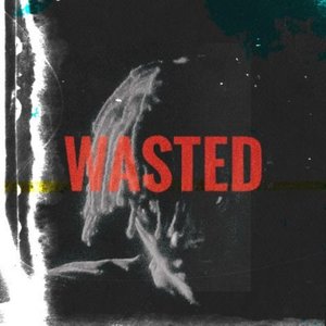 Image for 'Wasted'