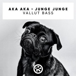 Image for 'Vallut Bass'