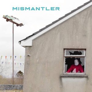 Image for 'Mismantler'