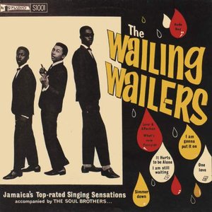 “The Wailing Wailers”的封面