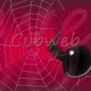 Image for 'Cobweb'